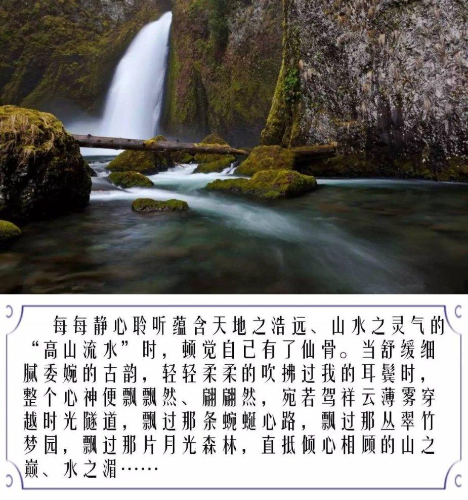 探索怎么投诉举报医院乱给你定病？，发现知识星球的魅力